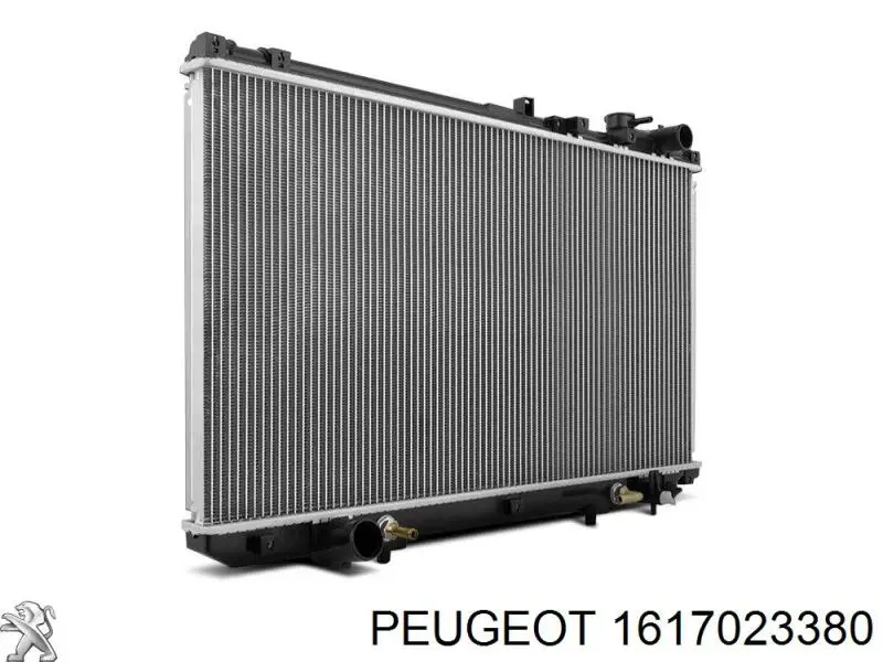 Água radiador Peugeot/Citroen 1617023380 precio, desde 122,40 EUR