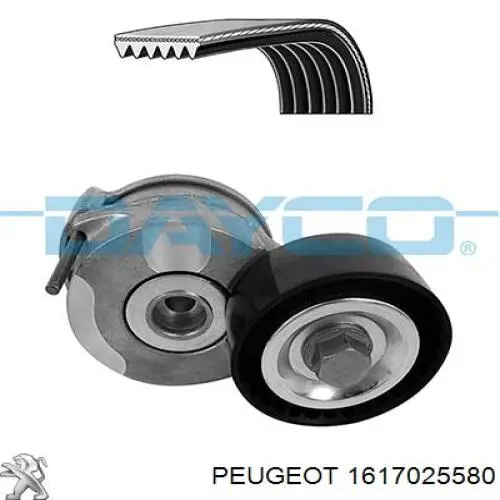 1617025580 Peugeot/Citroen correa de transmision, juego completo