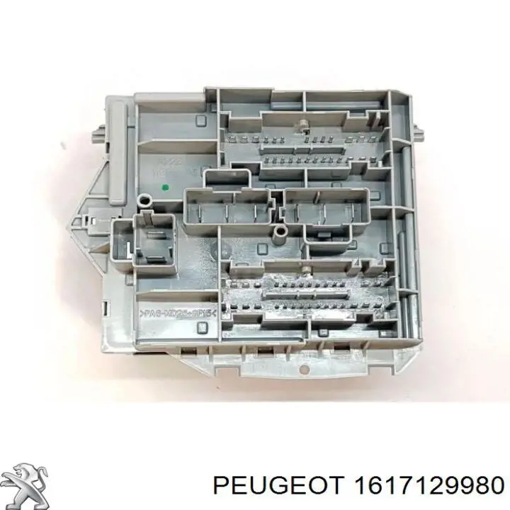 1617129980 Peugeot/Citroen