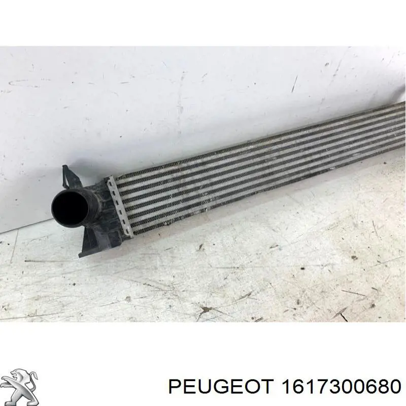 1617300680 Peugeot/Citroen