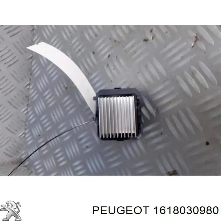1618030980 Peugeot/Citroen 