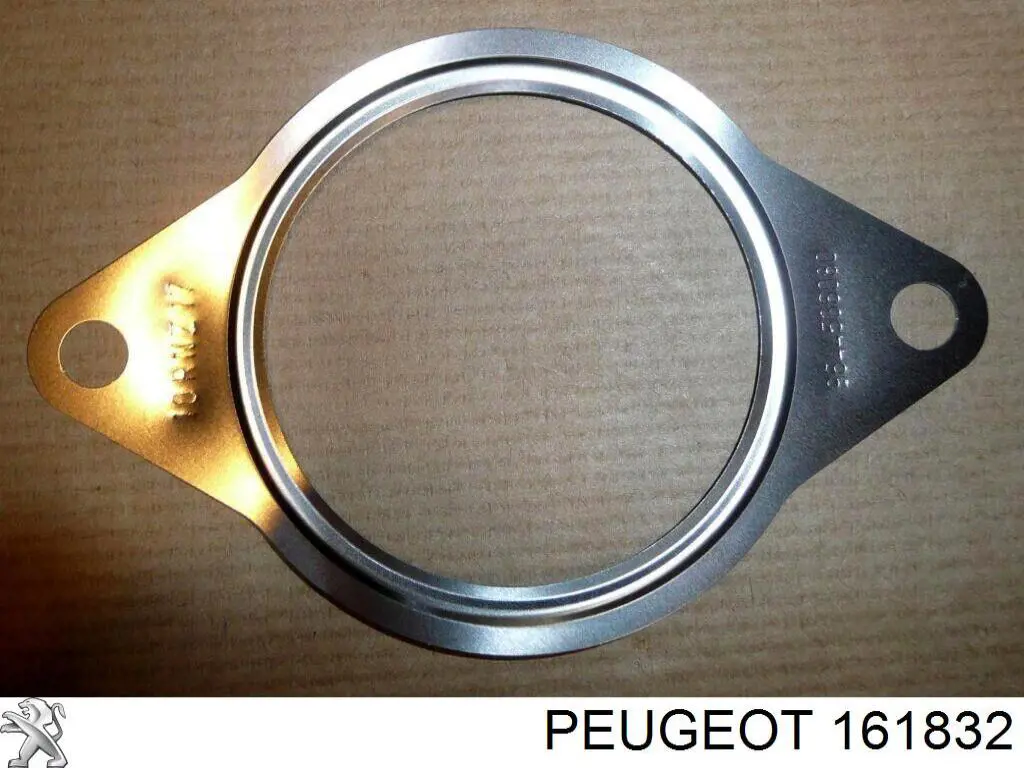 161832 Peugeot/Citroen junta de válvula egr