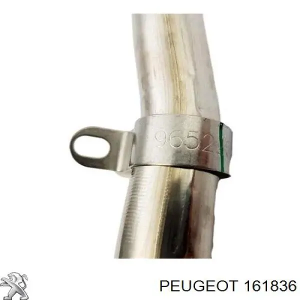 161836 Peugeot/Citroen manguera tuberia de radiador (gases de escape)