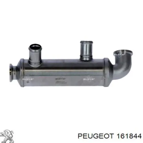 Enfriador de recirculación de gases de escape EGR Peugeot/Citroen 161844 precio, desde 54,00 EUR