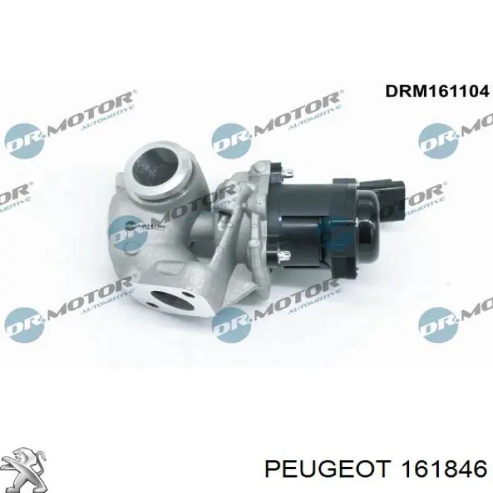 161846 Peugeot/Citroen válvula egr