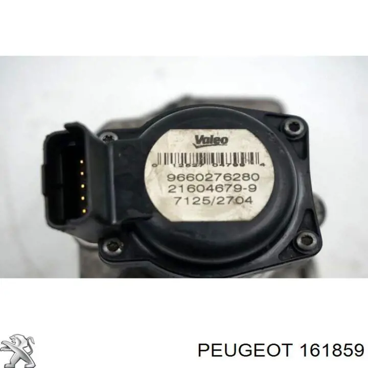 161859 Peugeot/Citroen Válvula EGR