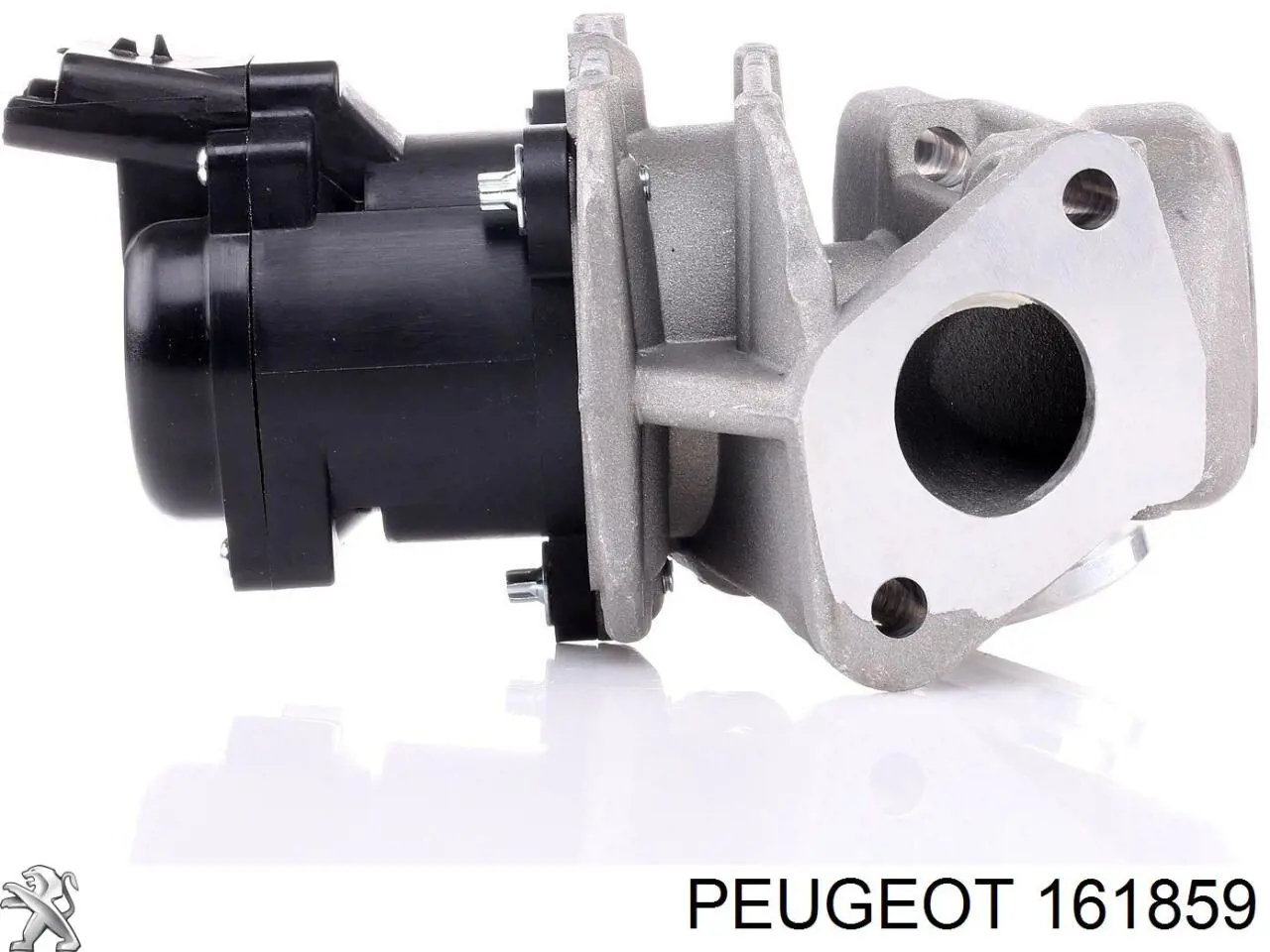 161859 Peugeot/Citroen válvula egr