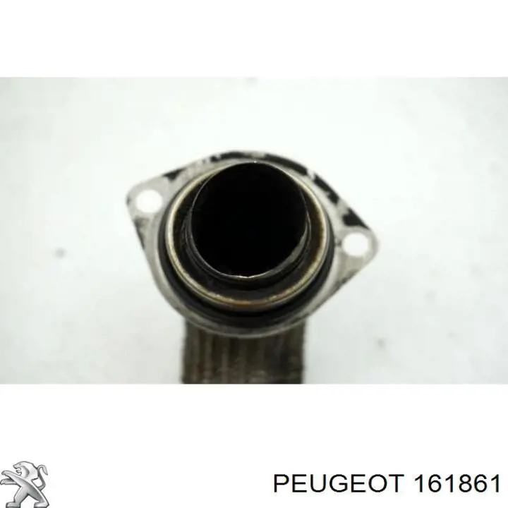 161861 Peugeot/Citroen manguera tuberia de radiador (gases de escape)