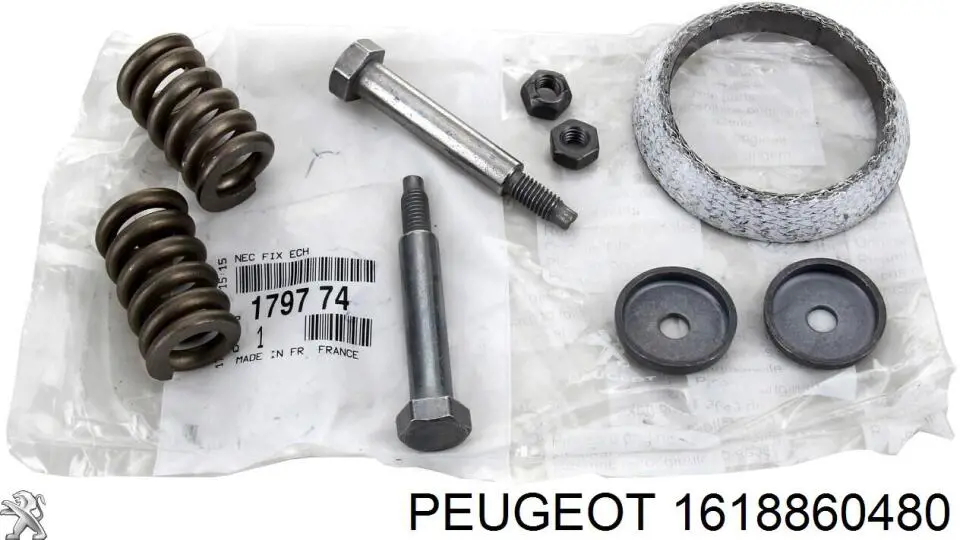 1618860480 Peugeot/Citroen