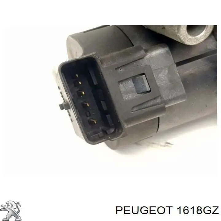 EGR Peugeot/Citroen 1618GZ