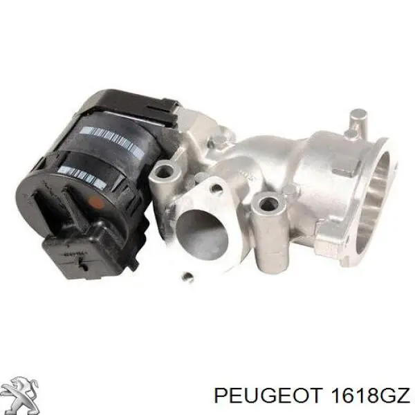 1618GZ Peugeot/Citroen válvula egr