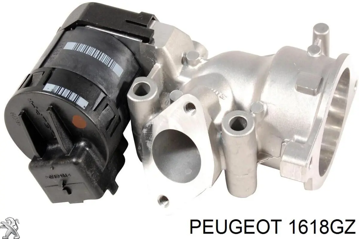 Comprar 1618GZ Peugeot/Citroen Válvula EGR