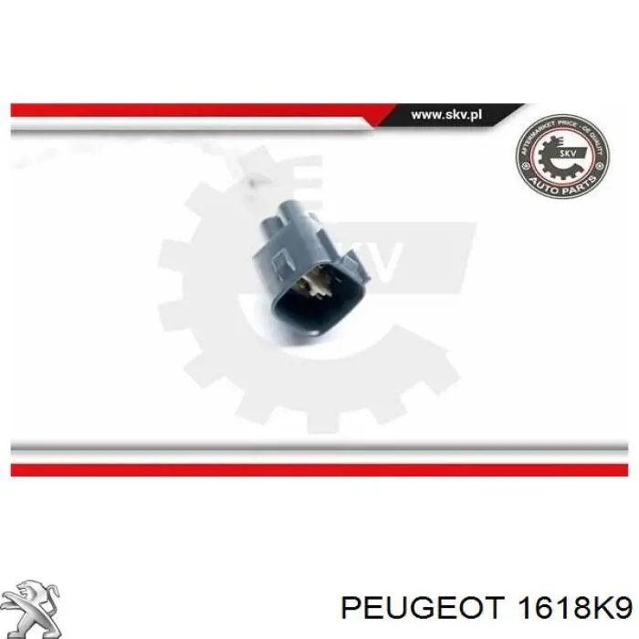 Comprar 1618K9 Peugeot/Citroen Sonda lambda de oxígeno posterior al catalizador