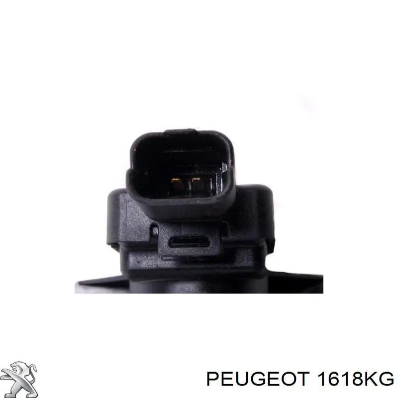 Comprar 1618KG Peugeot/Citroen Válvula de solenoide de control de mariposa EGR
