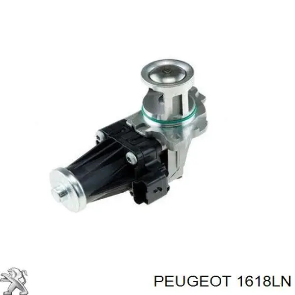 EGR Peugeot/Citroen 1618LN