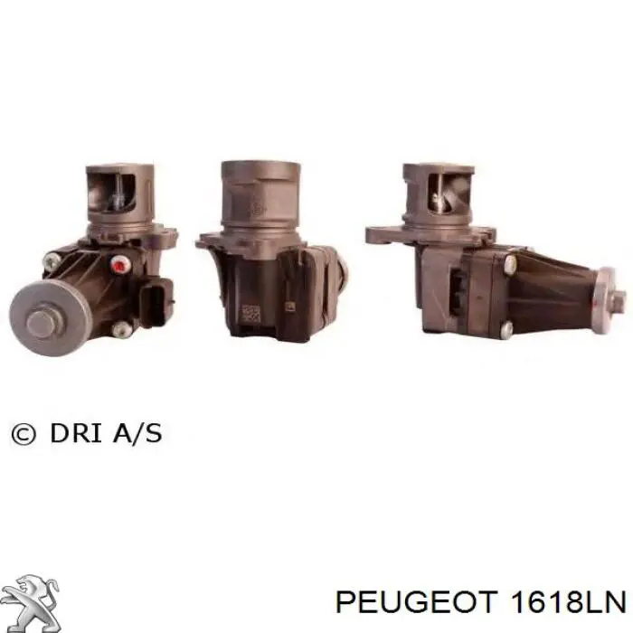 Comprar 1618LN Peugeot/Citroen Válvula EGR