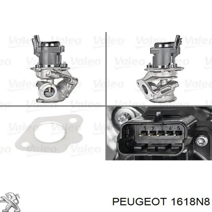 EGR Peugeot/Citroen 1618N8