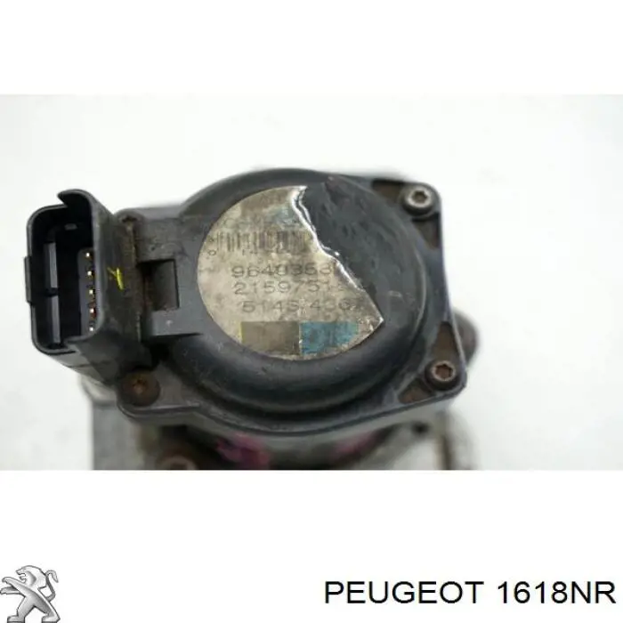 Válvula EGR 1618NR Peugeot/Citroen