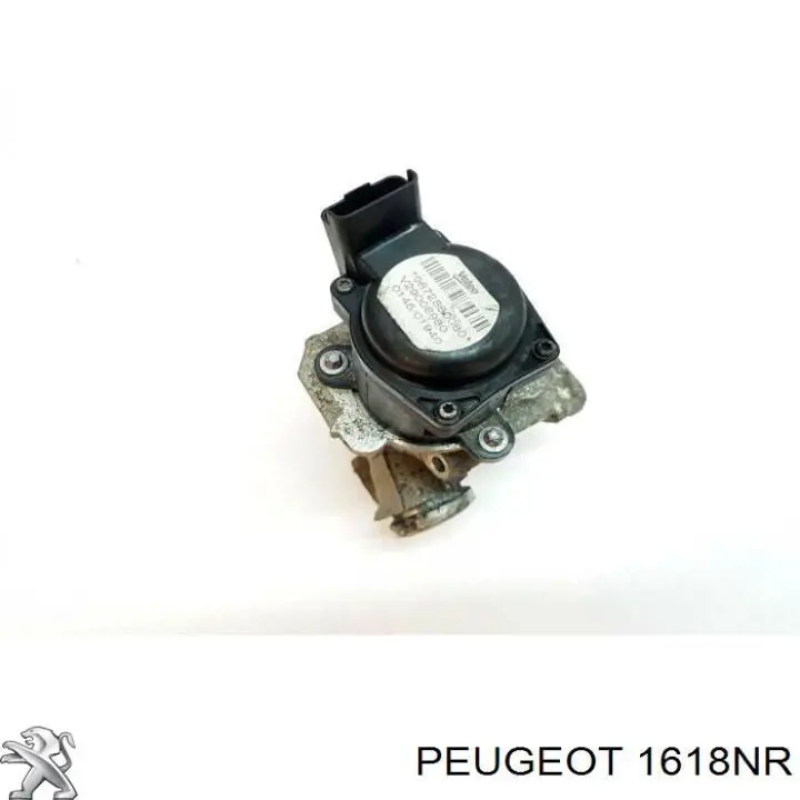 Válvula EGR 1618NR Peugeot/Citroen