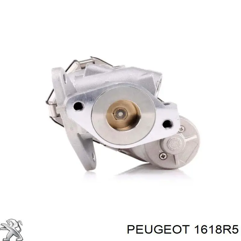 1618R5 Peugeot/Citroen válvula egr