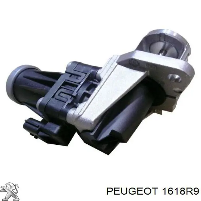 1618R9 Peugeot/Citroen manguera tuberia de radiador (gases de escape)