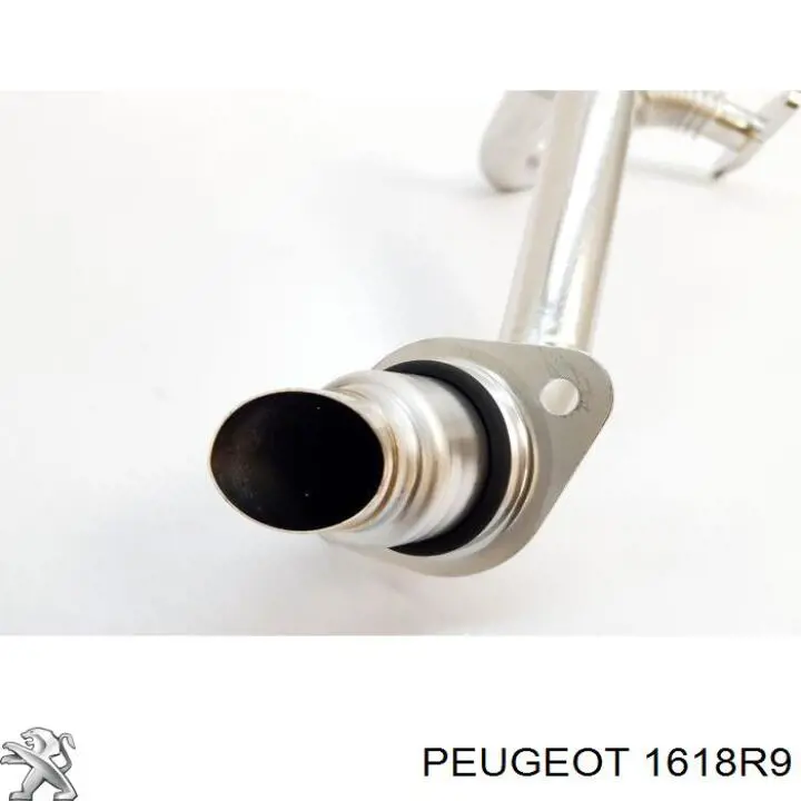 Tubo del sistema de recirculación de gases de escape EGR Peugeot/Citroen 1618R9 precio, desde 31,94 EUR