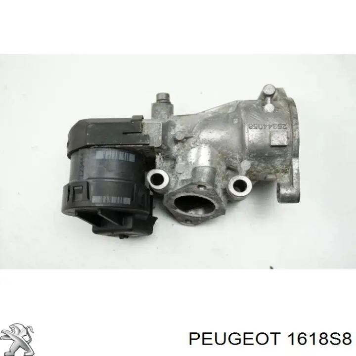 EGR Peugeot/Citroen 1618S8