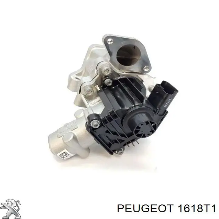 1618T1 Peugeot/Citroen Válvula EGR