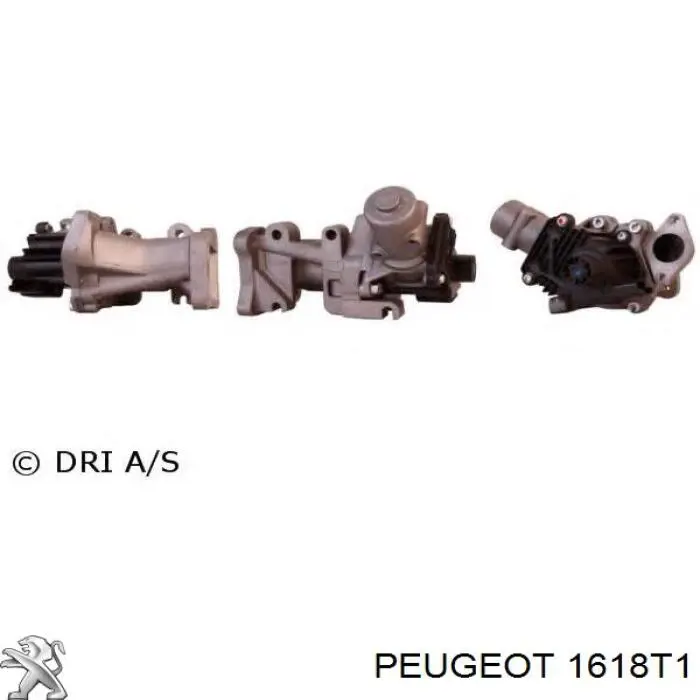 Comprar 1618T1 Peugeot/Citroen Válvula EGR