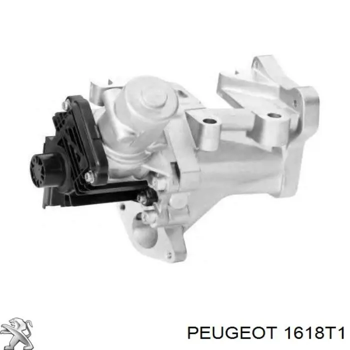 Válvula EGR 1618T1 Peugeot/Citroen