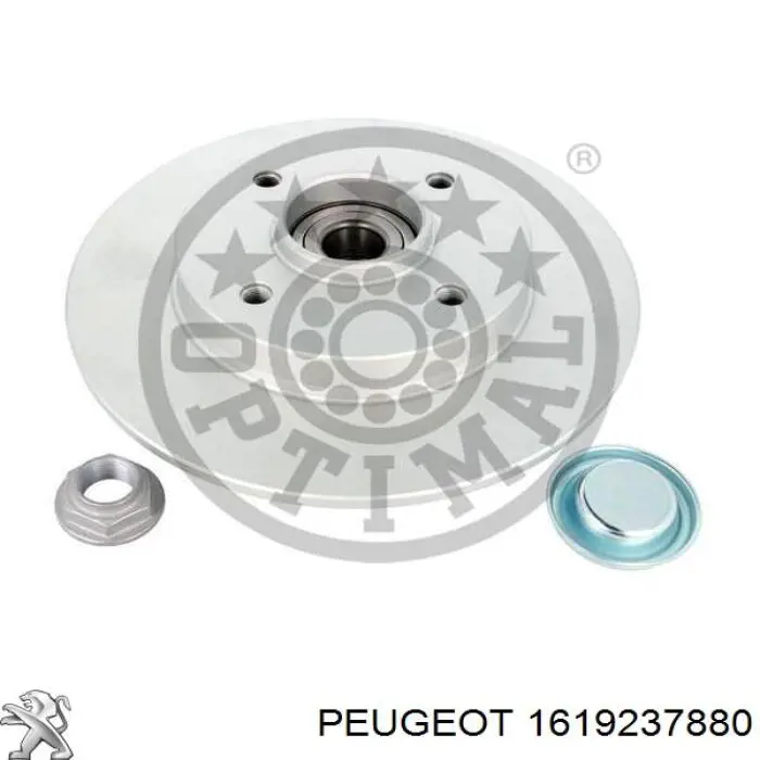 Disco de freno trasero Peugeot/Citroen 1619237880 precio, desde 60,62 EUR