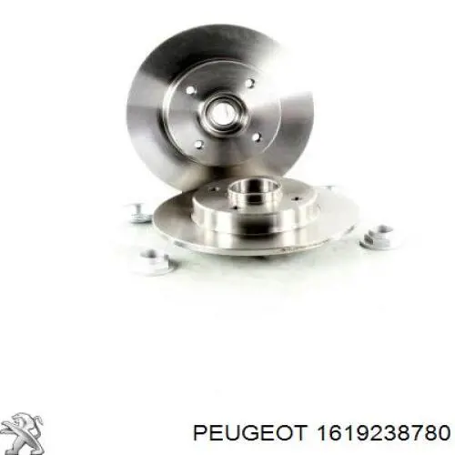 Disco de freno trasero Peugeot/Citroen 1619238780 precio, desde 76,96 EUR