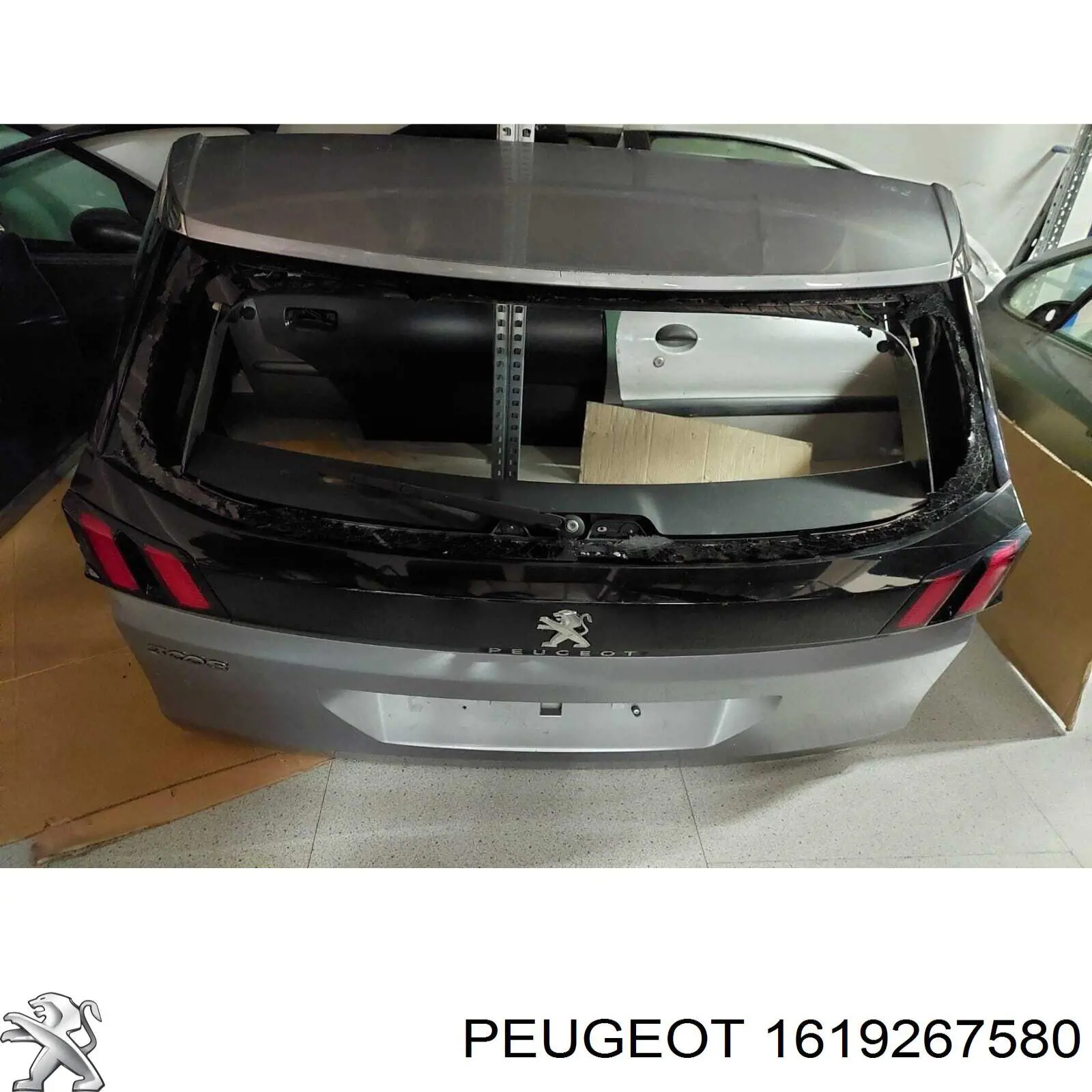 1619267580 Peugeot/Citroen Porton trasero