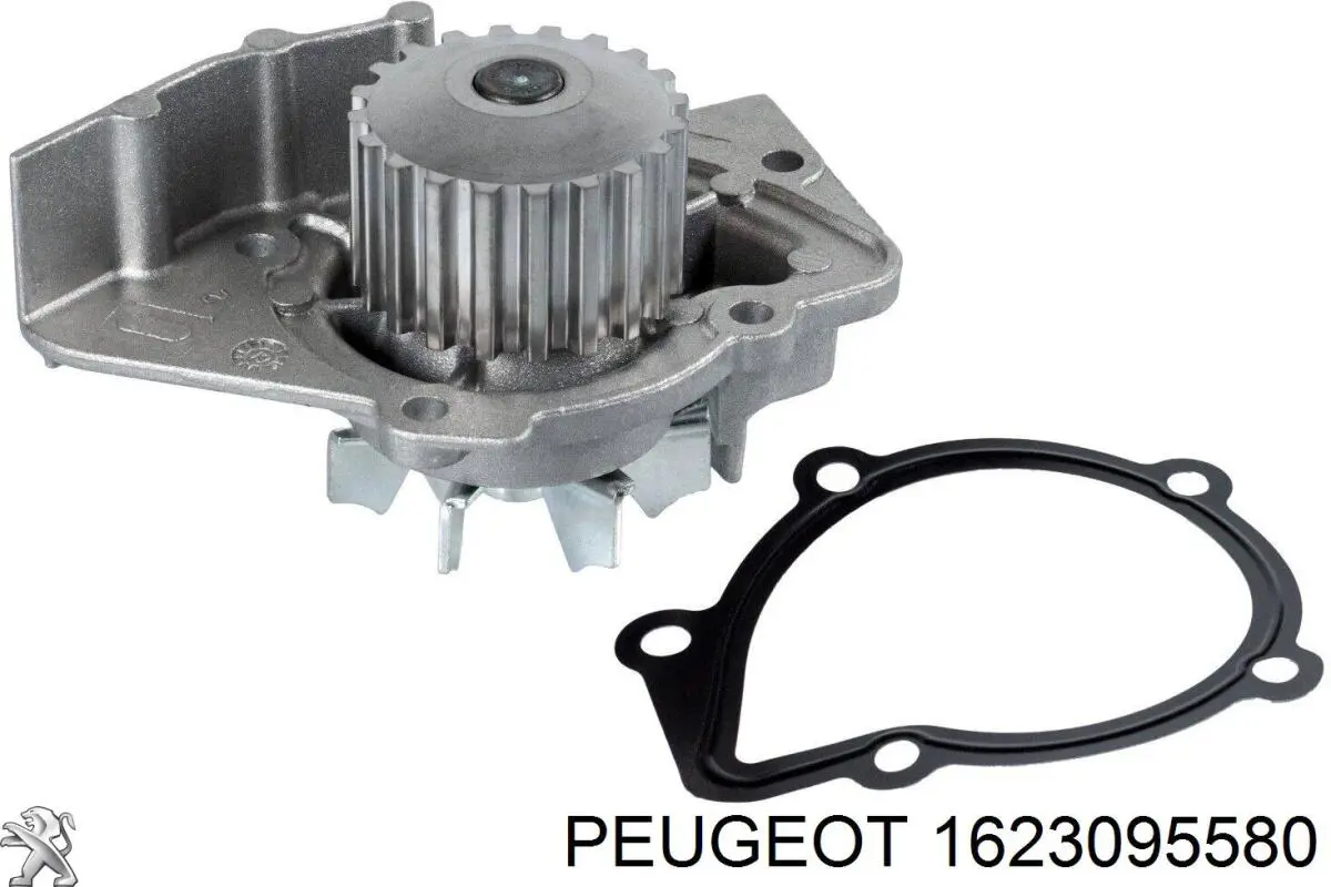 Bombeadora de agua Peugeot/Citroen 1623095580 precio, desde 33,20 EUR