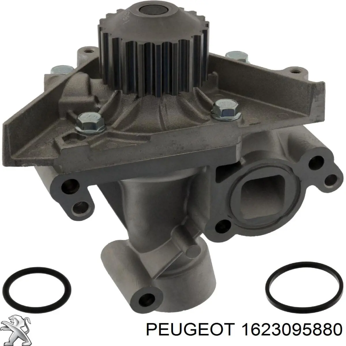 1623095880 Peugeot/Citroen bomba de agua