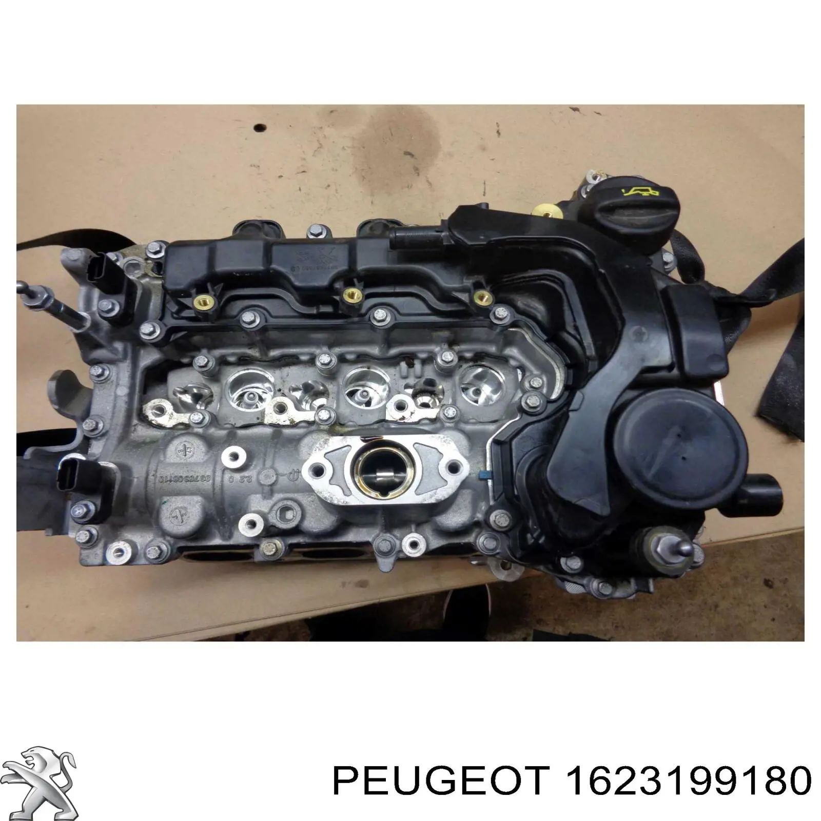 Cabeza de cilindro Peugeot/Citroen 1623199180 precio, desde 895,89 EUR