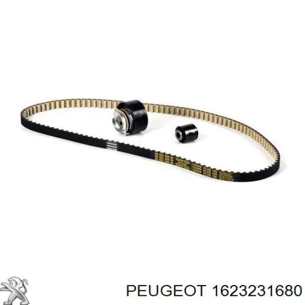 Comprar 1623231680 Peugeot/Citroen Kit de correa de distribución