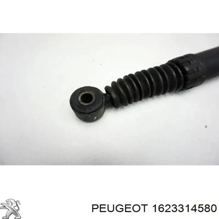 1623314580 Peugeot/Citroen