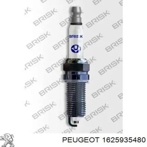 Bujías Peugeot/Citroen 1625935480 precio, desde 5,40 EUR