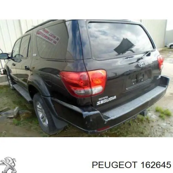 162645 Peugeot/Citroen egr