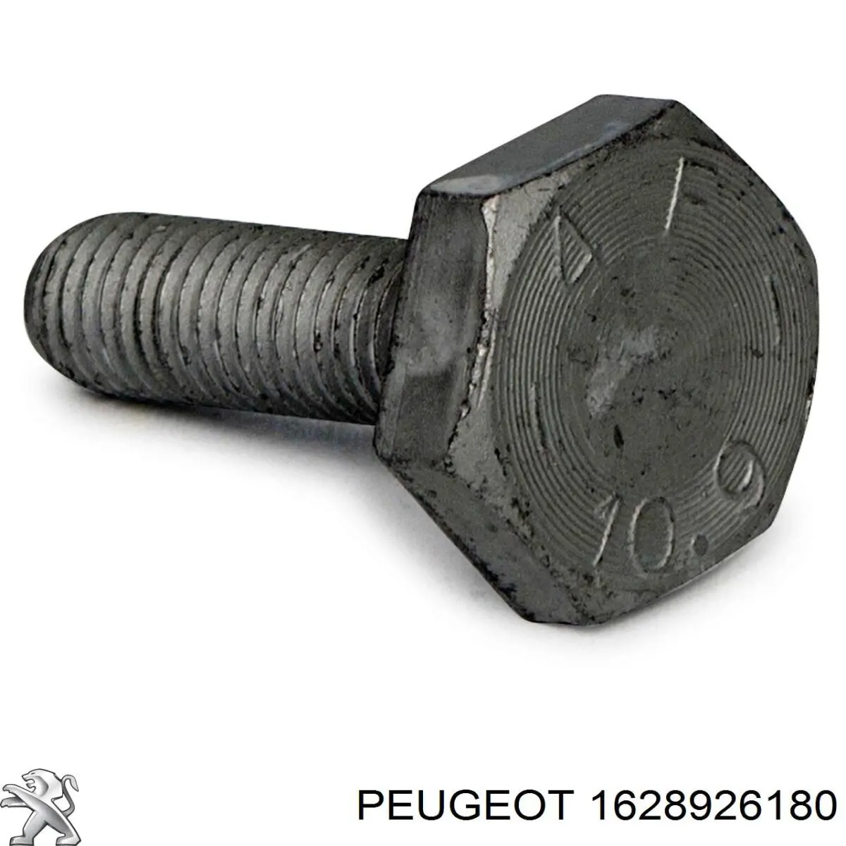Comprar 2189258 Ford Kit de correa de distribución