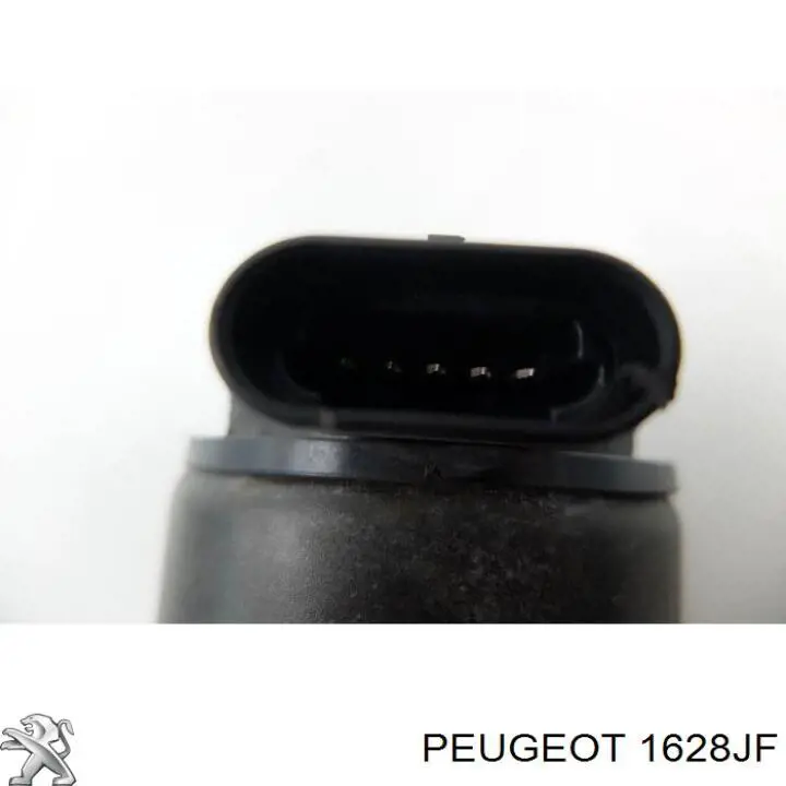 EGR Peugeot/Citroen 1628JF