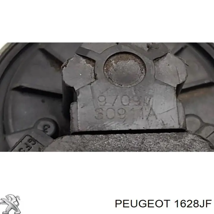 1628JF Peugeot/Citroen Válvula EGR