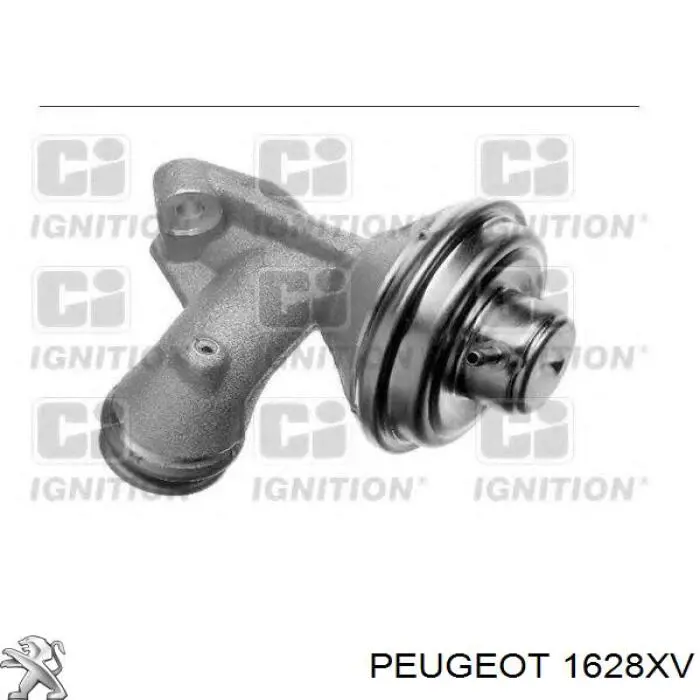 EGR Peugeot/Citroen 1628XV