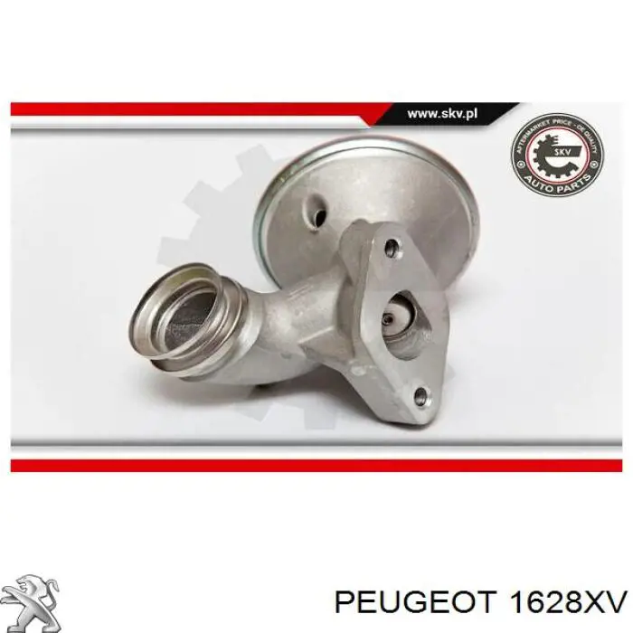 1628XV Peugeot/Citroen válvula egr