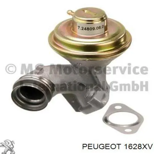 Comprar 1628XV Peugeot/Citroen Válvula EGR