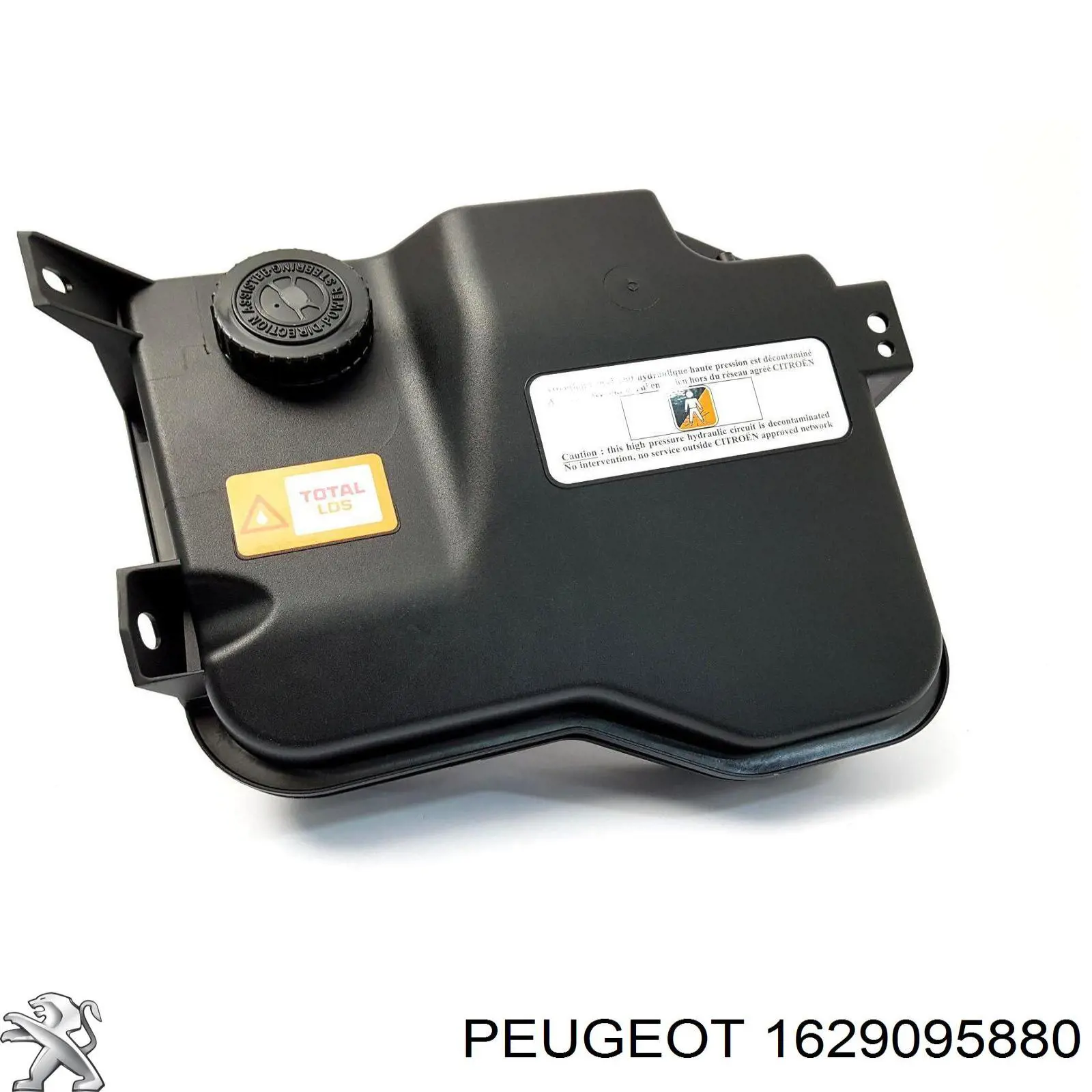 Bomba de dirección asistida  Sasic 7070065 precio, desde 287,50 EUR