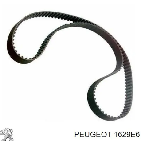 1629E6 Peugeot/Citroen cable del acelerador