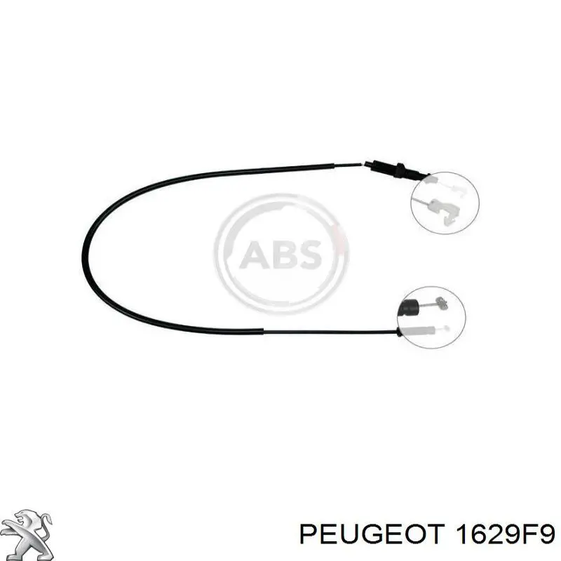 Cable del acelerador Peugeot/Citroen 1629F9 precio, desde 11,93 EUR