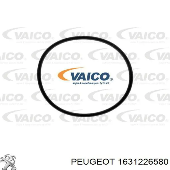 1631226580 Peugeot/Citroen